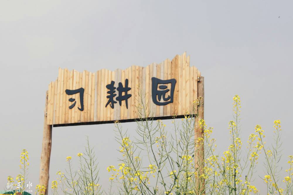 101043hyhkzggm08k7aaj6.jpg