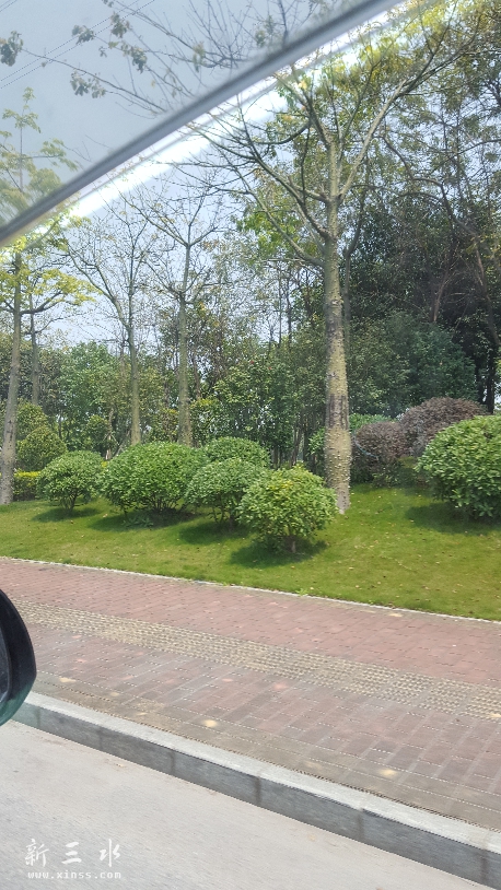 20170403_125218.jpg