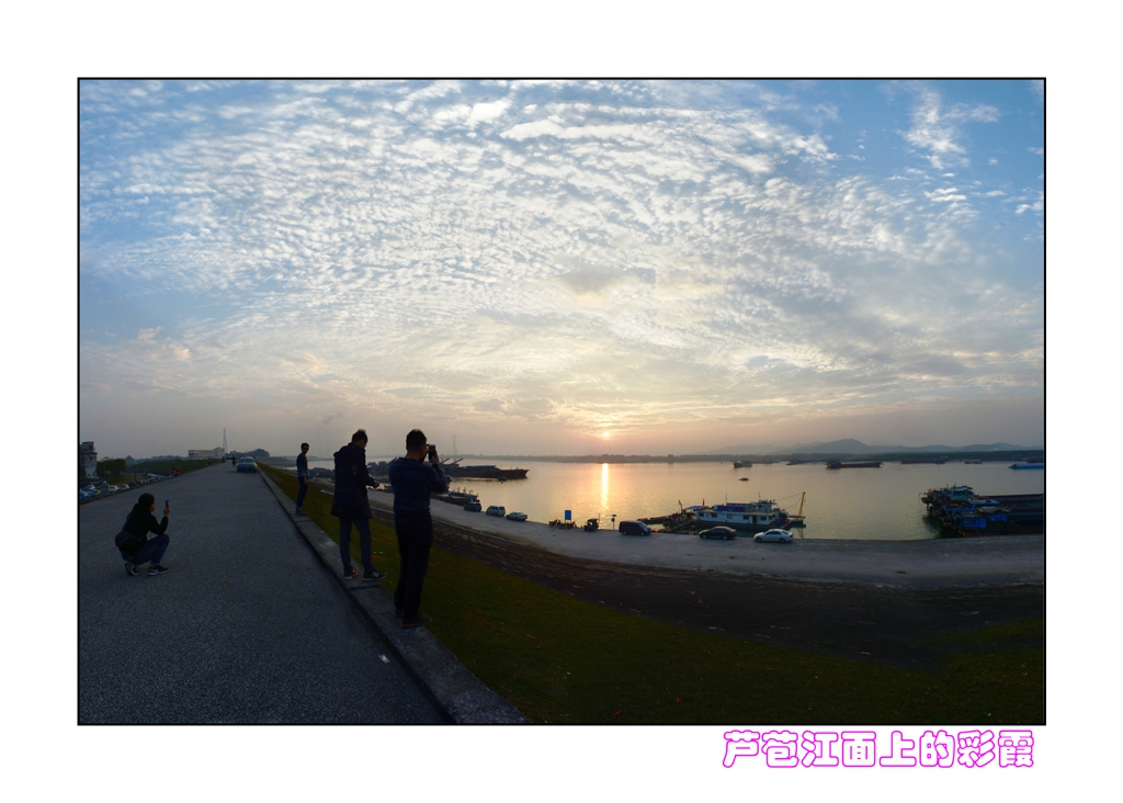 DSC_4256A.jpg