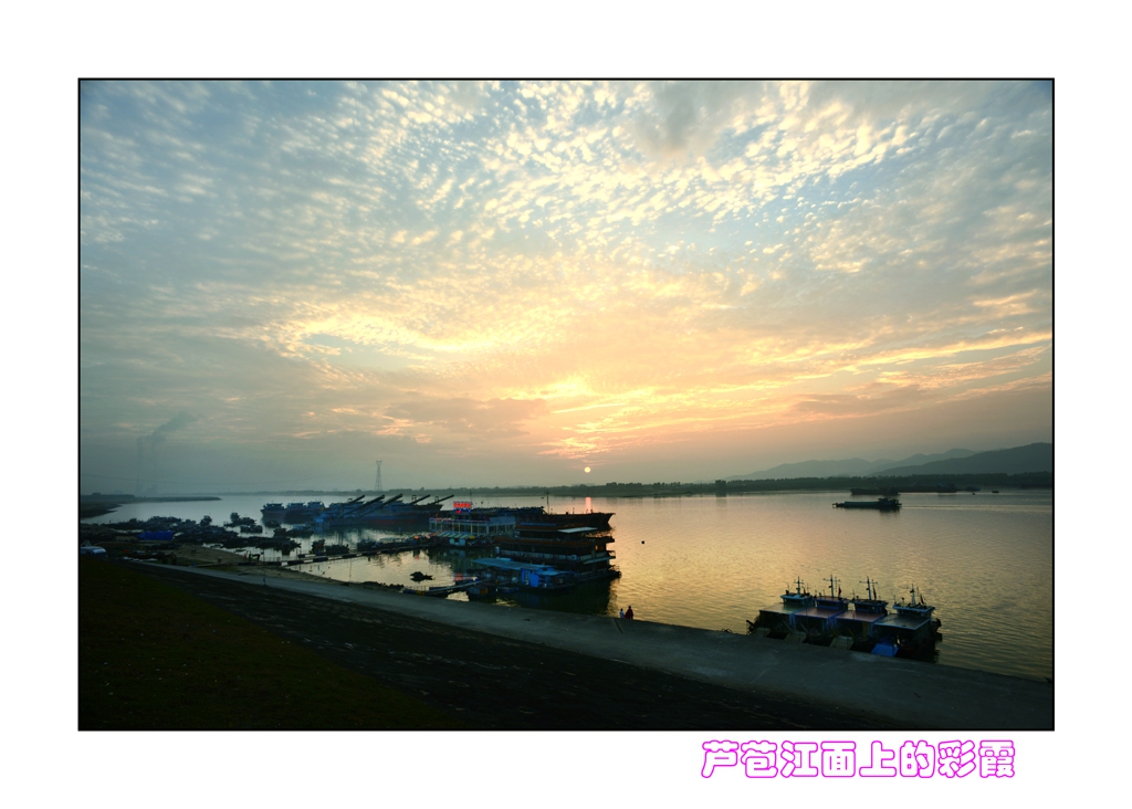 DSC_4384.JPG
