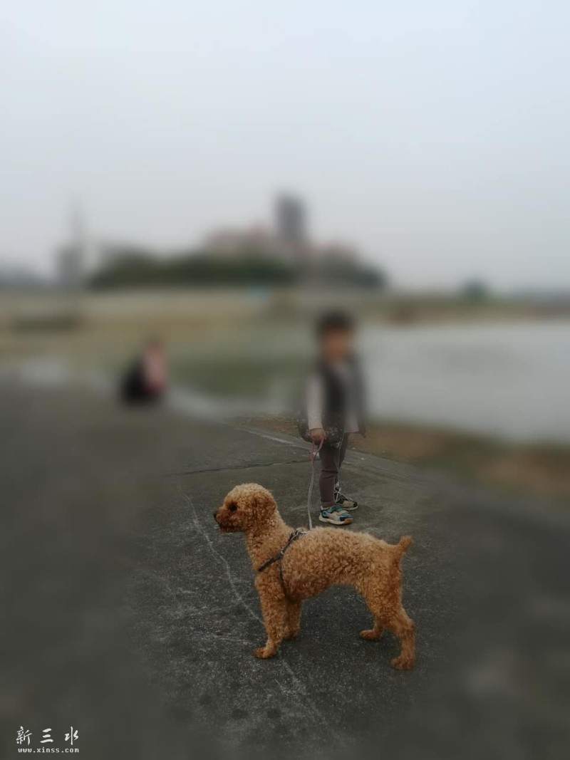 �Ҽҵ�С������