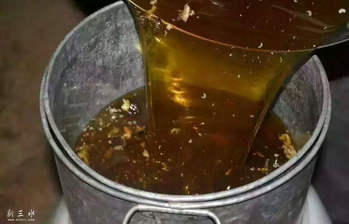 115619c08pog7obeaedgmi.jpg