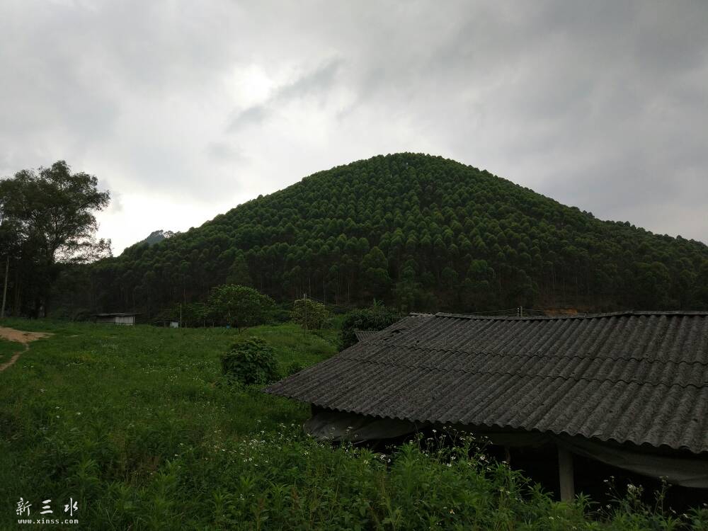 170314w2fpegwhwemh1hh1.jpg