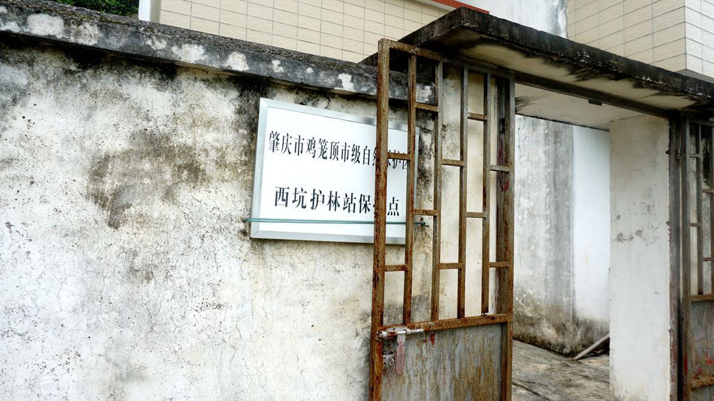 DSC04696_副本.jpg