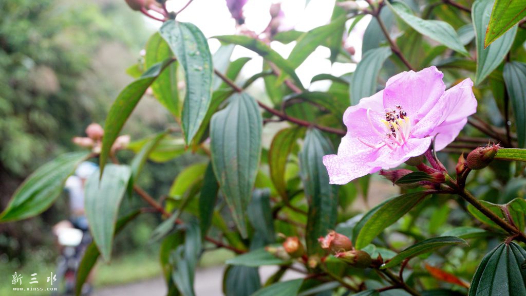 DSC04675_副本.jpg