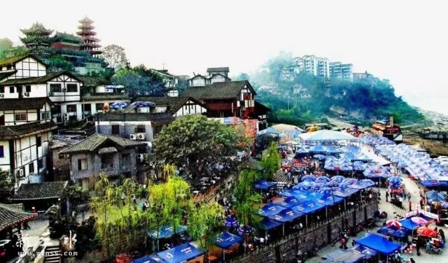 �����ڹ���