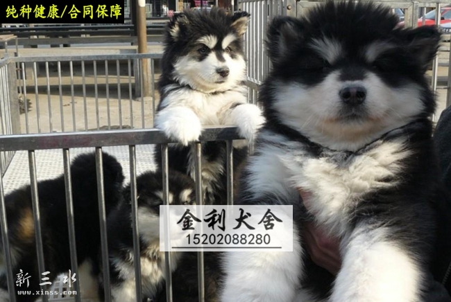 ����˹�� (6).jpg