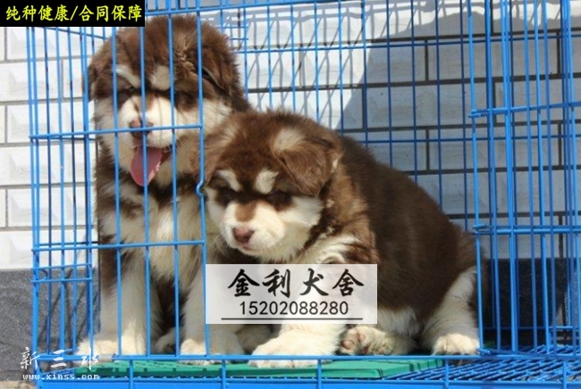 ����˹�� (8).jpg