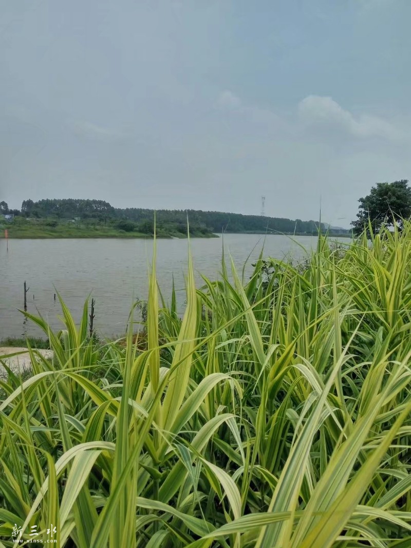 �Ϻ�ʪ�ع�԰