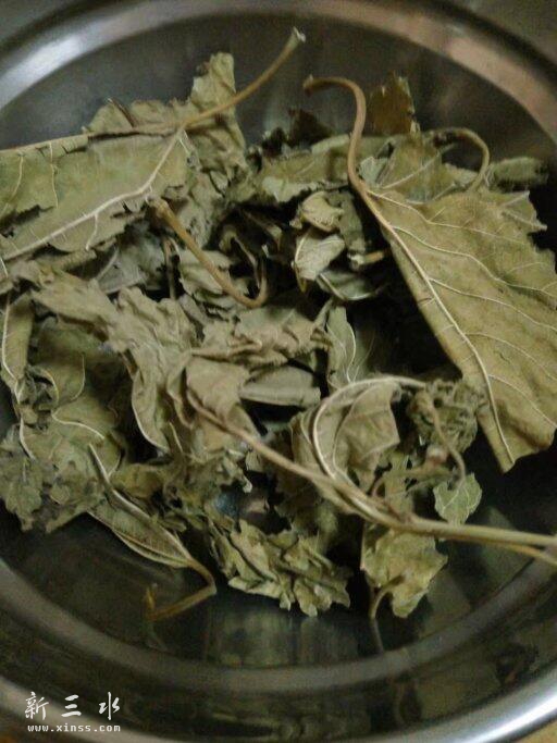 桑叶