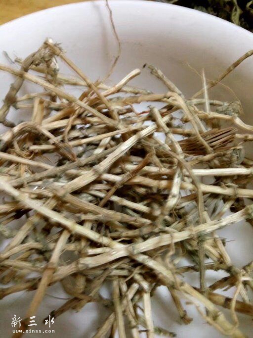 白茅根