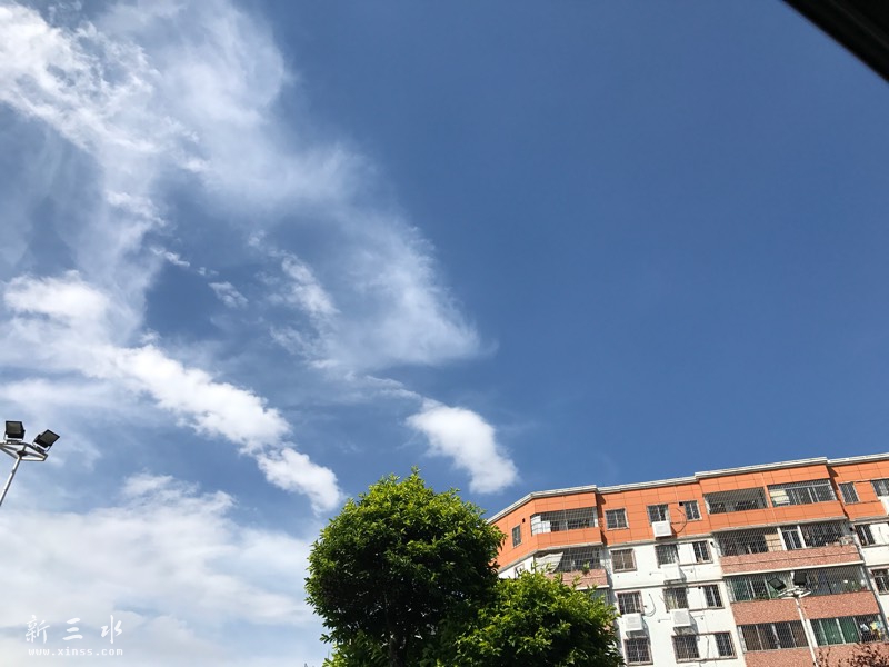 153612cjffimkbce1emaki.jpg
