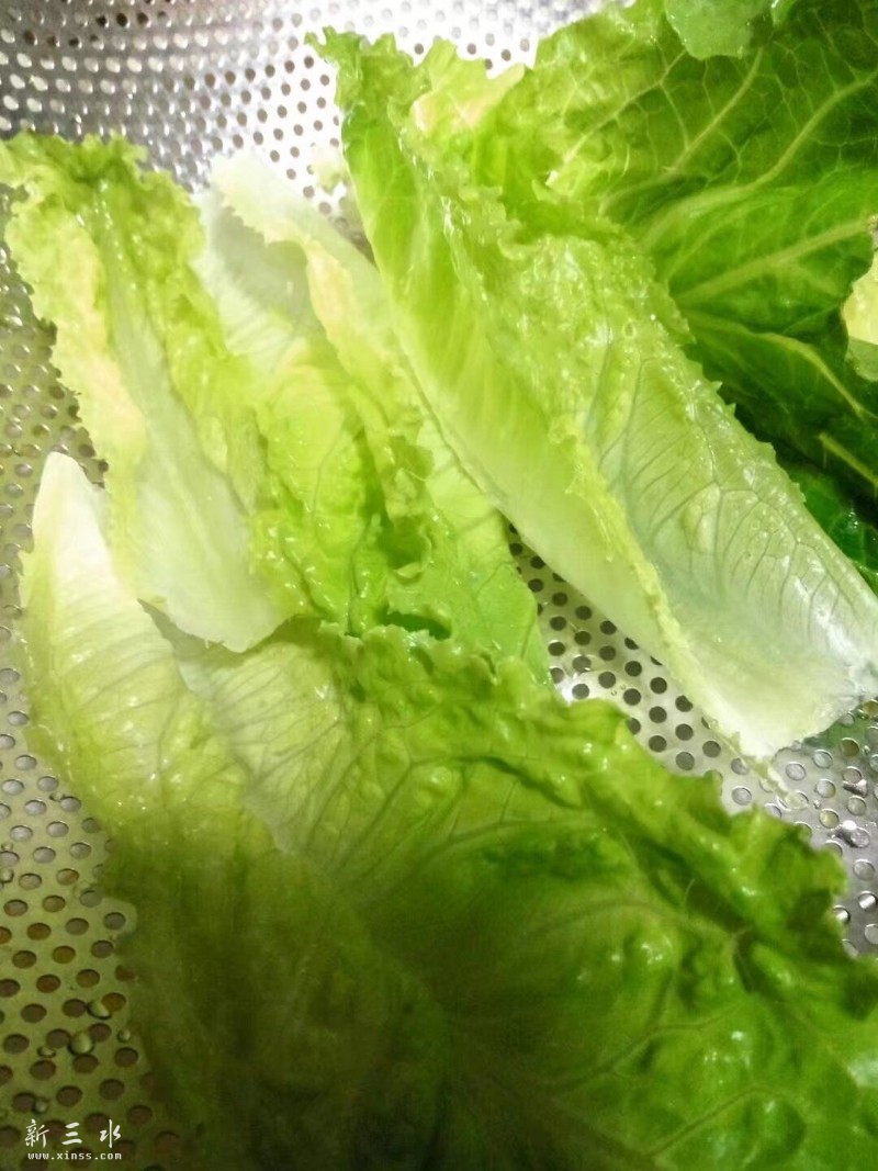 生菜