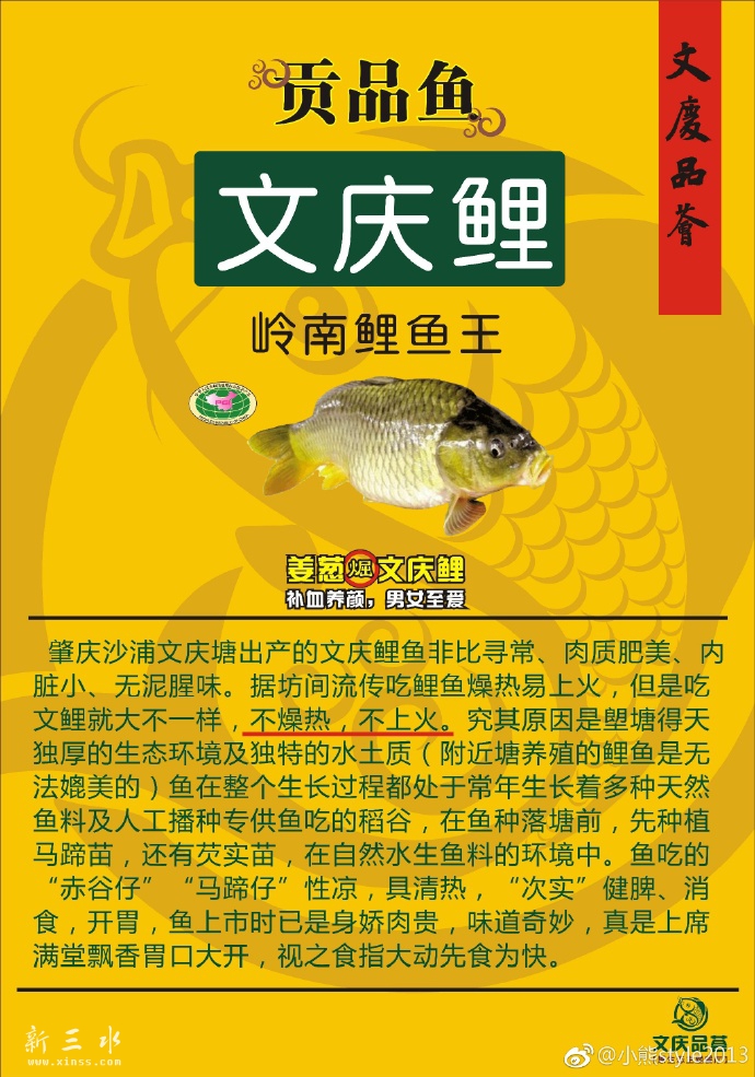 文庆鲤不上火.jpg
