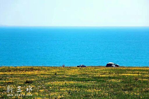 �����ຣ������ɫ���Ǹ�ɣ����