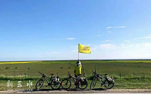 ��Ҷ������Ļ����¿��