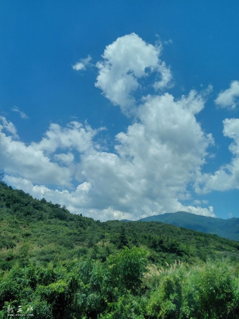 7��22�մ�����������