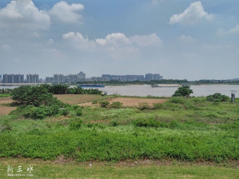 �������ɳͷ