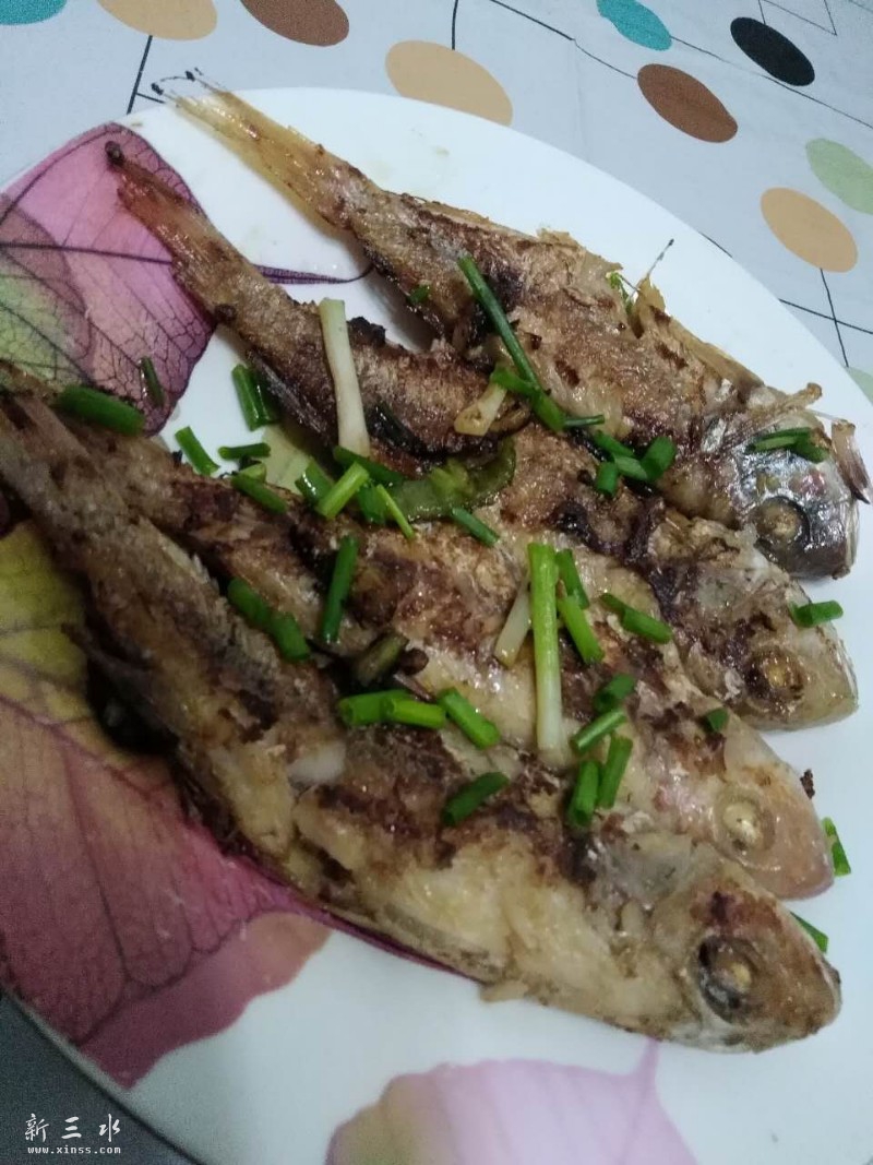 红杉鱼