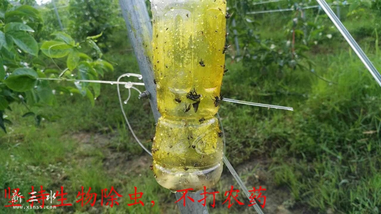 药瓶.jpg