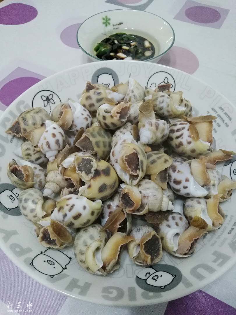 新鲜花螺