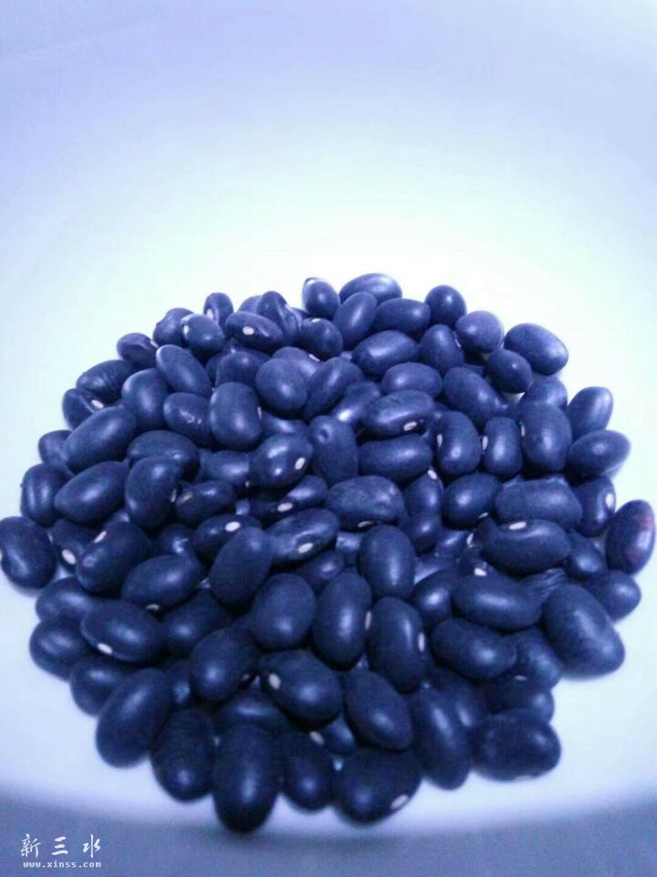 榛戠湁璞