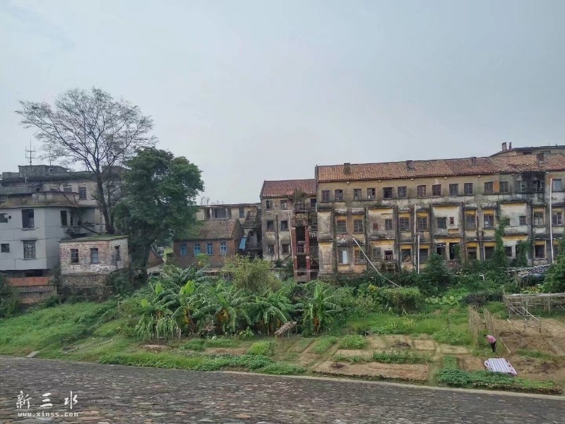 ������ˮ����