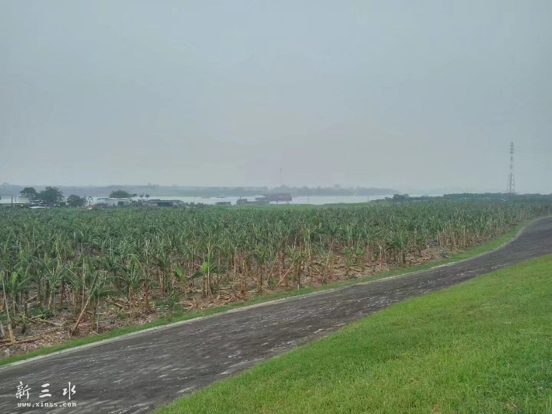 ������԰���