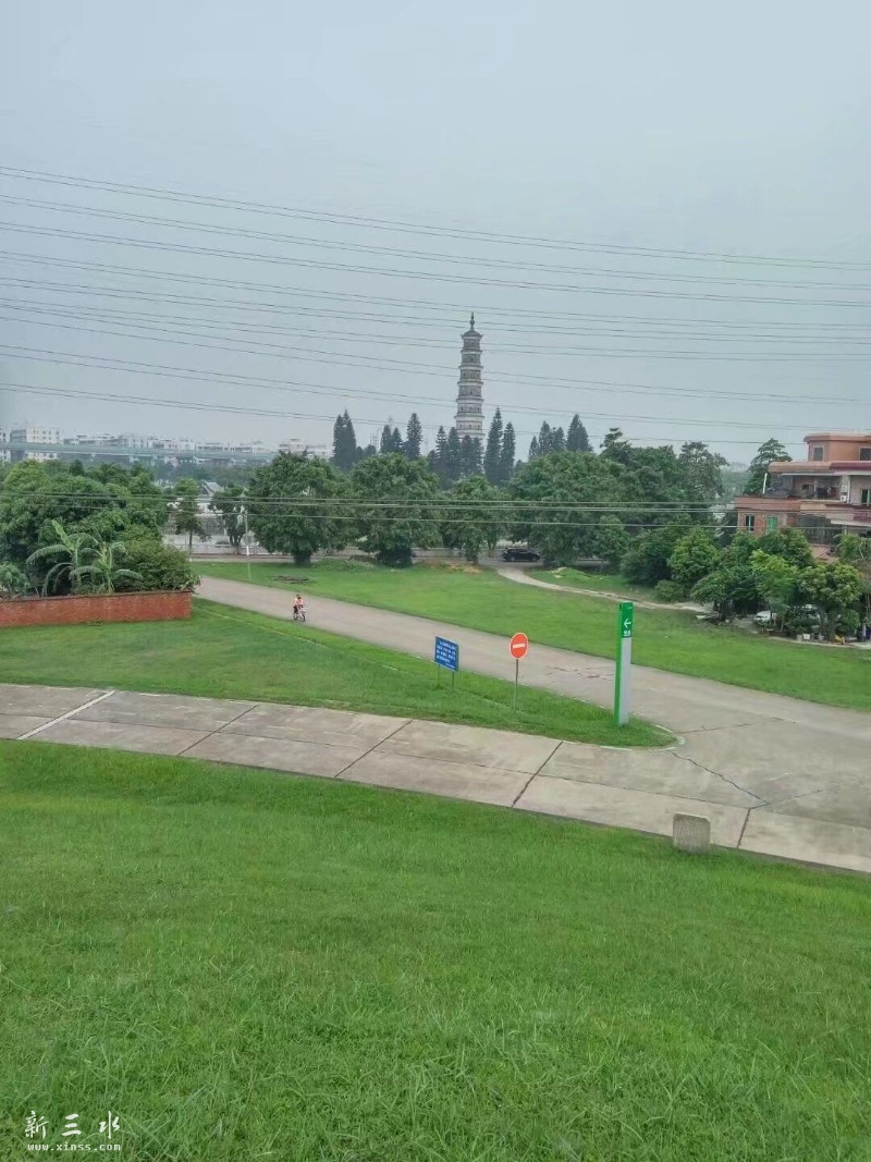 �ӿڿ�������