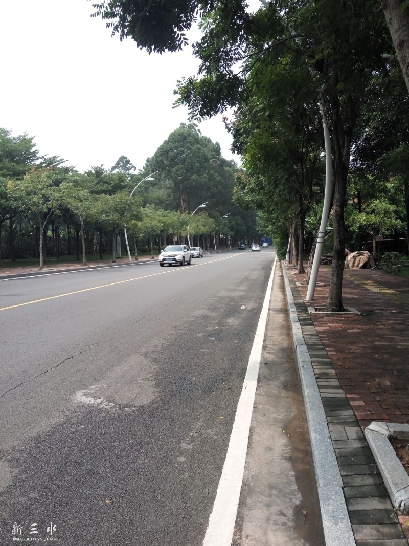 ��ˮɭ�ֹ�԰���Ŵ��