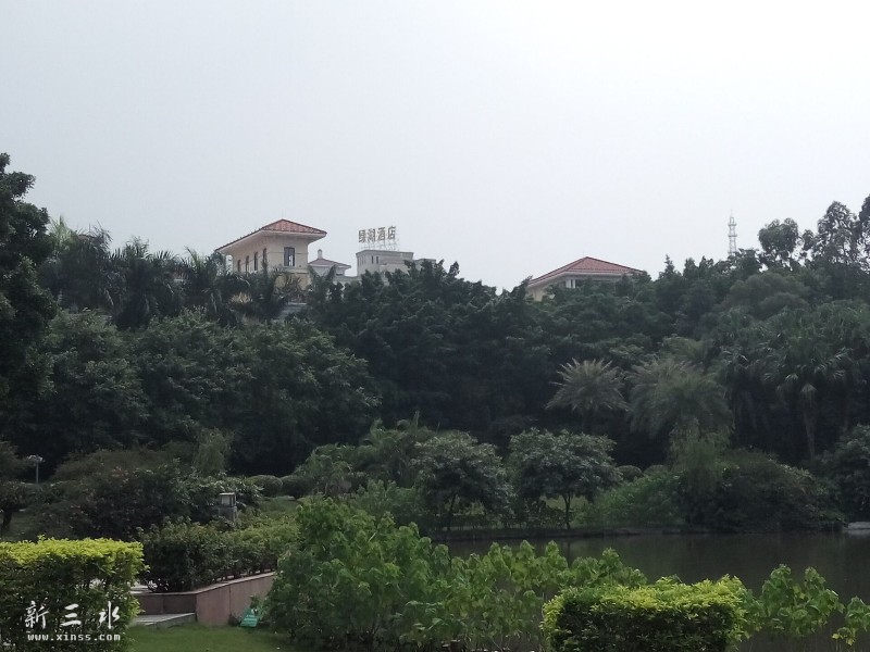 ��ˮ��õľƵ�