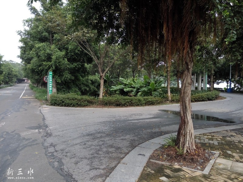 �������ת���ֱ��ƶ����������