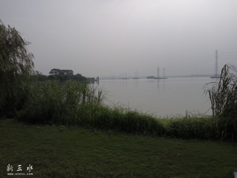 ׼�����𻨵�