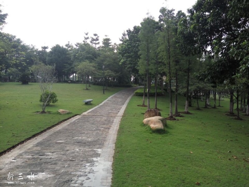 ���ˣ�˳ʱ��󻷺����ҵ���