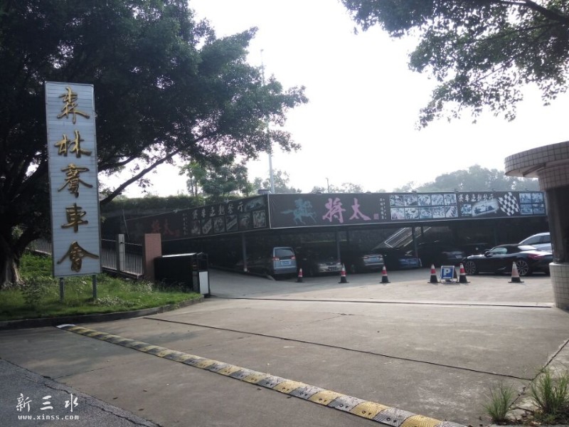 �ص���ˮɭ������������