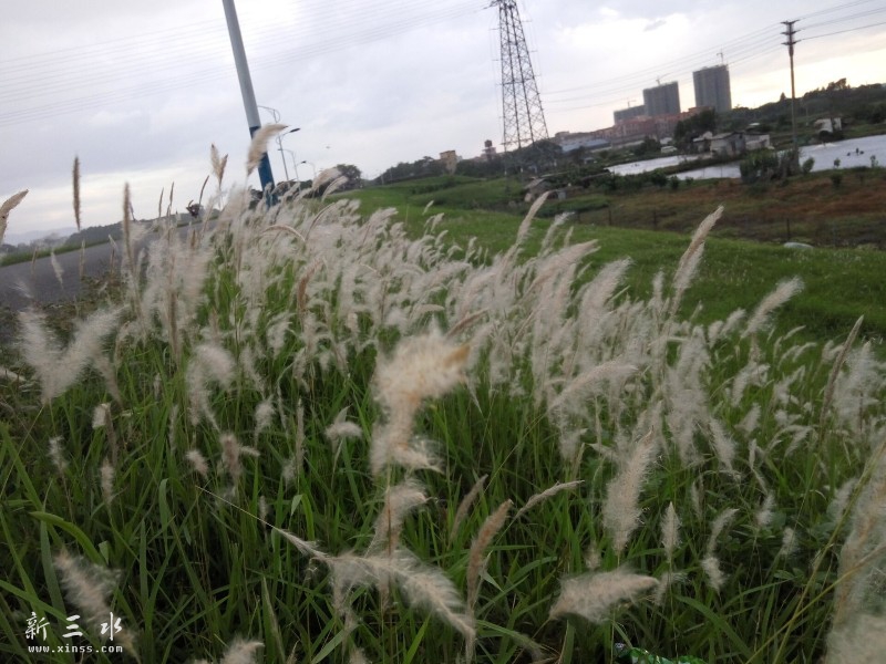 ������Ұ��