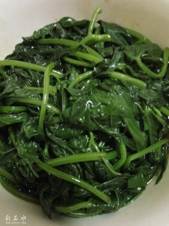 凉拌番薯苗