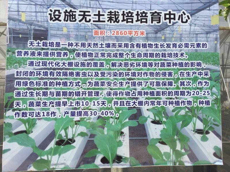 234751fgoiv87a0y22agl2.jpg