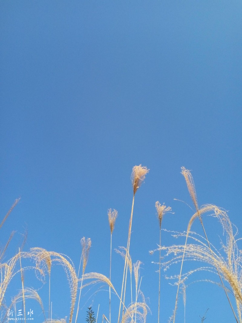 �����������â��