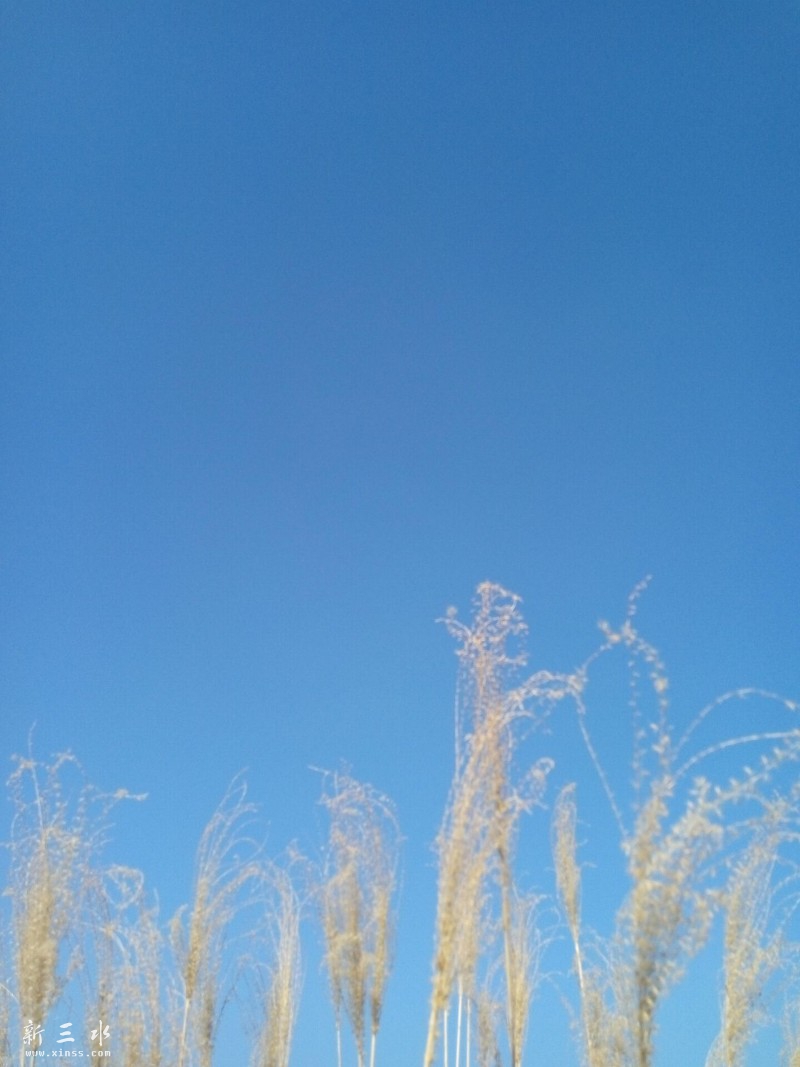 ������â��