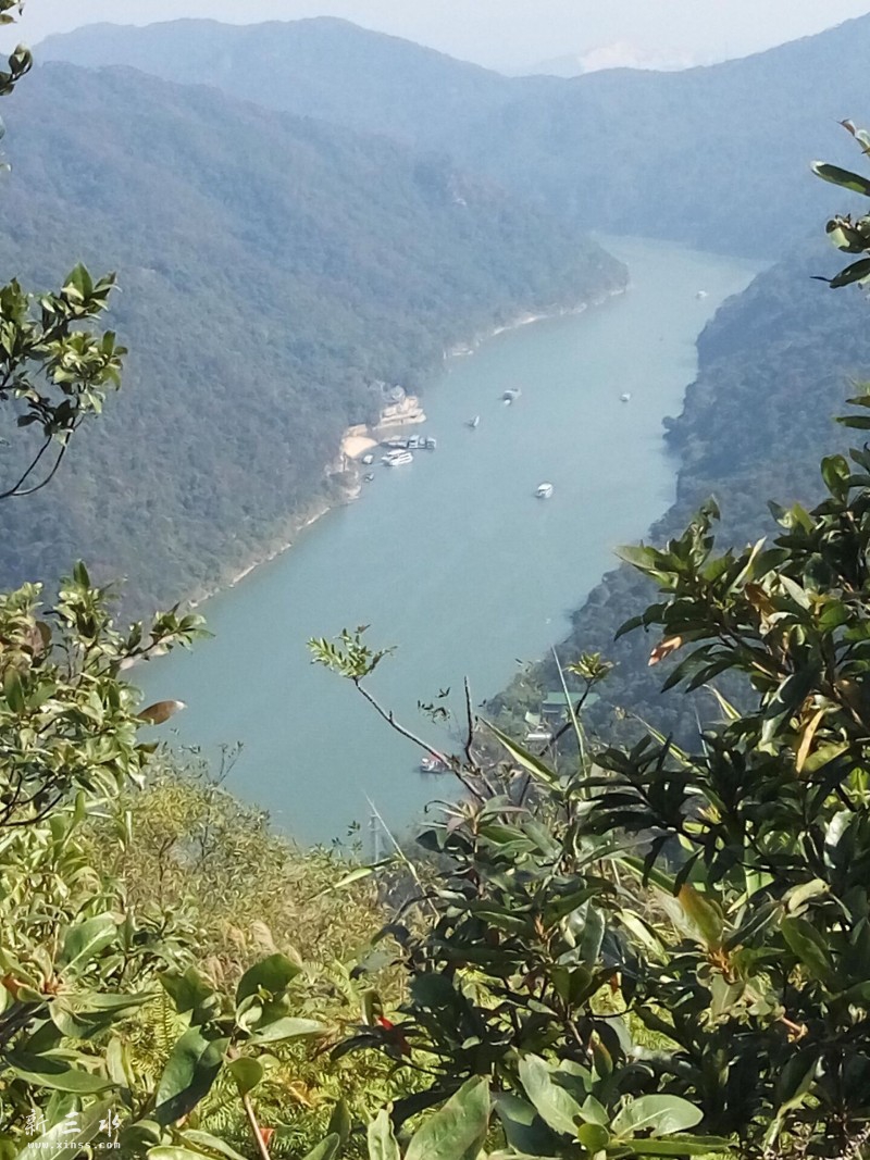 ��������Զ����Ͽ