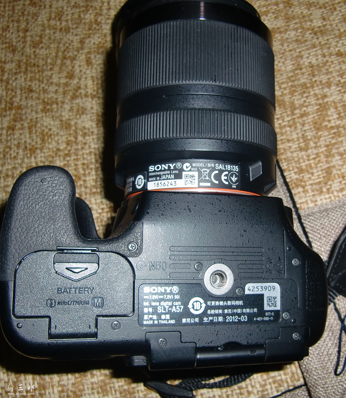 CIMG1058.JPG