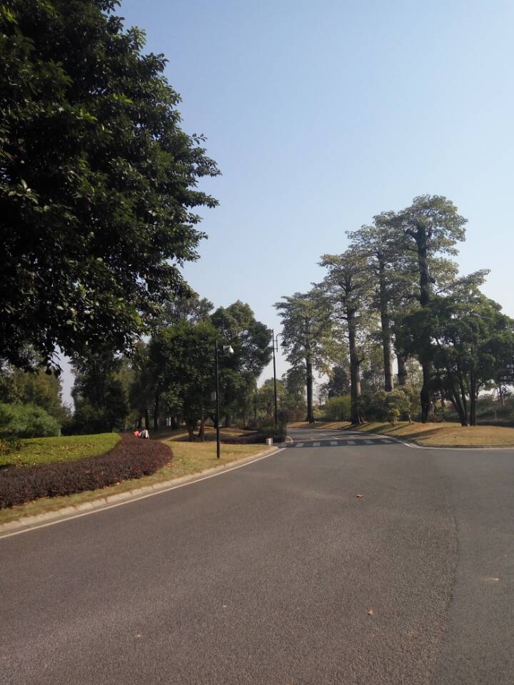 �����ϴַ�