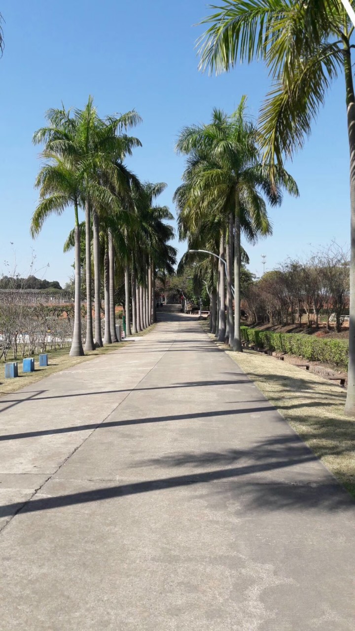 20180113_171144_1515823244764.jpg