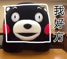 017cbb23f6213cee2725b6aefad71bcc.jpg