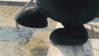96f332af438473fdd1931e083ed018a3.gif