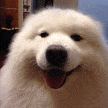 e22ca64b1838cd0e1081ea72e2807339.gif