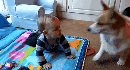 1e62fa9e03ee0242a3e2117497116896.gif