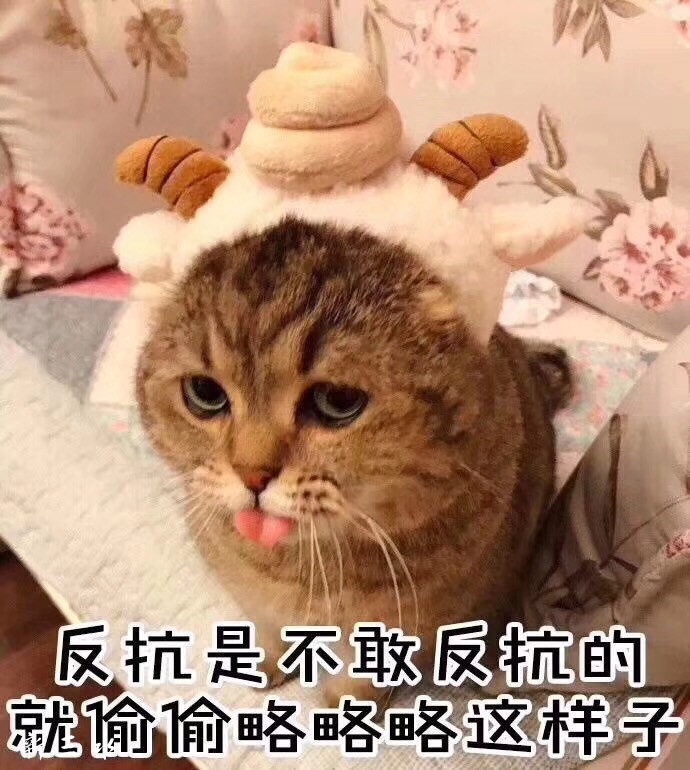 a5339dd95c319a1d87104d188da18e81.jpg