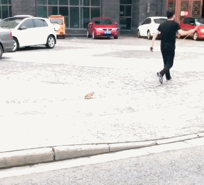 b7bec0c0ly1fr2y79k140g20bk0ah7in.gif